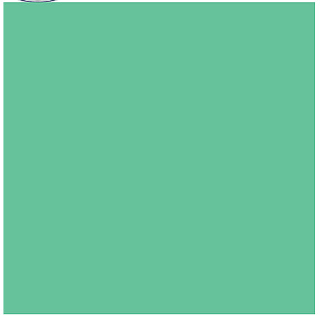 Mint Green Savage #40