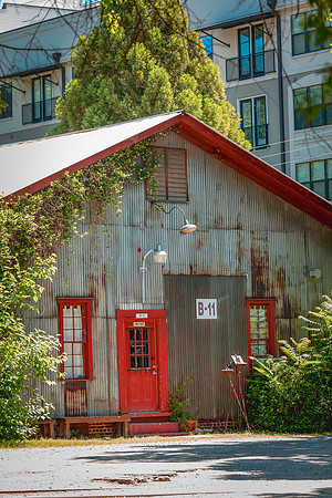 KRISTIN BOYER-ATLANTA GA USA_Goat Farm_05_2019_IMG_7817_#2_#1