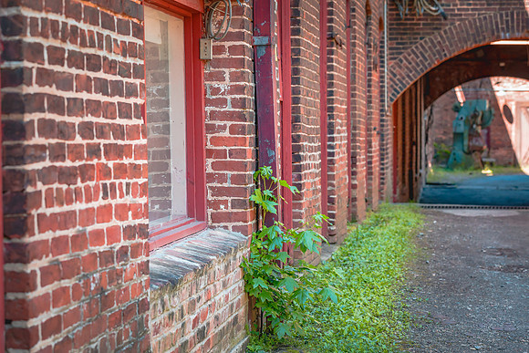 KRISTIN BOYER-ATLANTA GA USA_Goat Farm_05_2019_IMG_7820_#2_#1