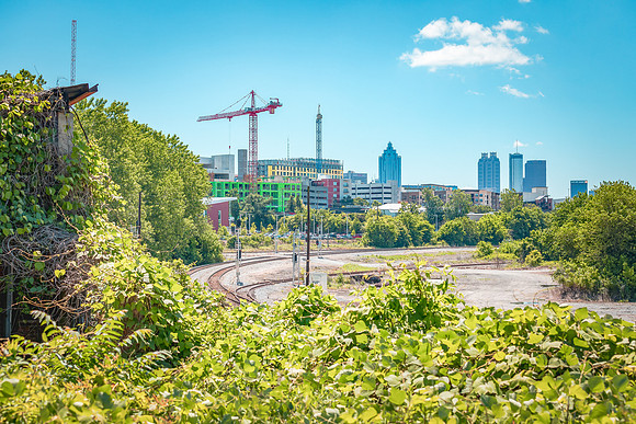 KRISTIN BOYER-ATLANTA GA USA_Goat Farm_05_2019_IMG_7843_#2_#1