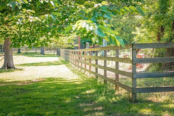 KRISTIN BOYER-ATLANTA GA USA_Goat Farm_05_2019_IMG_7855_#2_#1