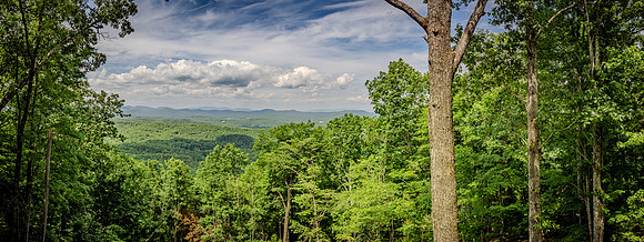 RE-Stewart-SettlementRd-Murphey-06-2024-Kristin_Boyer_IMG-3567-HDR-Pano-2